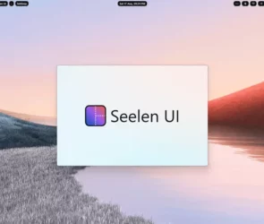 Seelen UI home