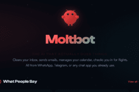 Moltbot