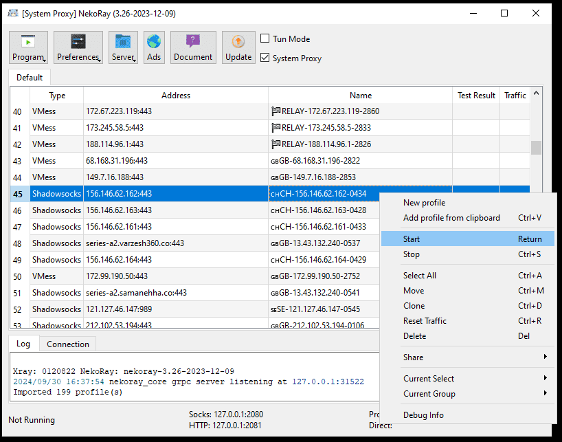 NekoRay Start proxy