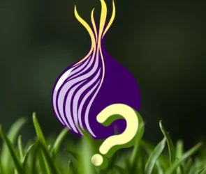 Tor
