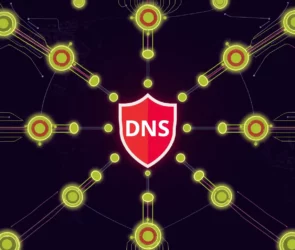 dns