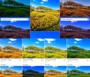 search by image