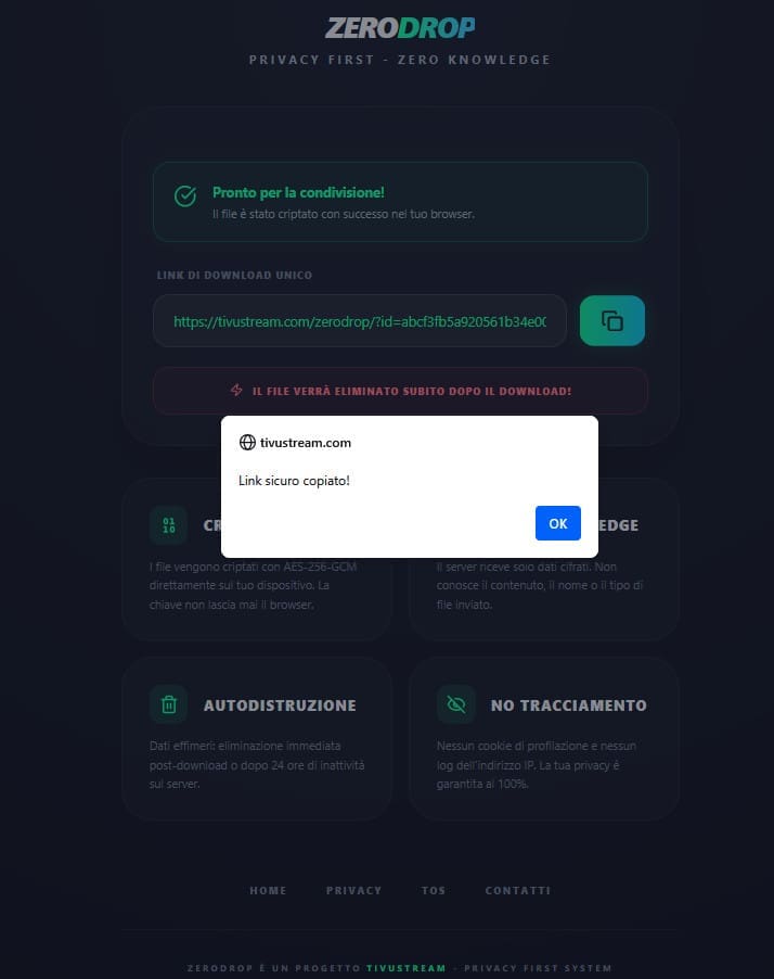 ZeroDrop file copiato